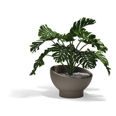 Luna Planter