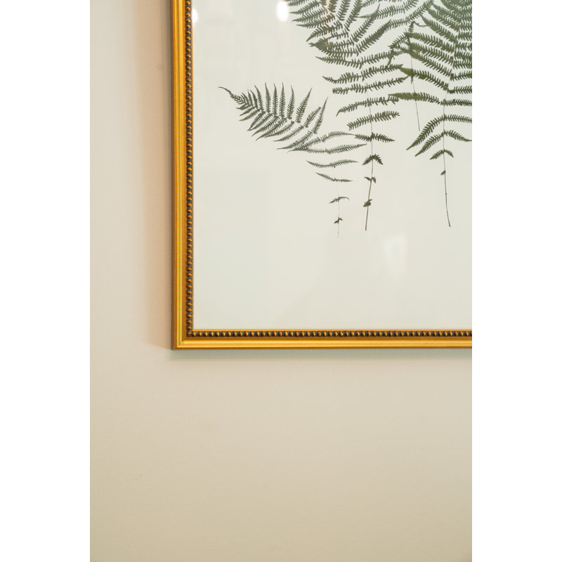 Lady Fern Garden Print by Sandy Whitaker, Gold Bead 2