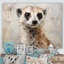 «Cute Meercat Portrait III», reproduction sur toile-1650209683-1877453464