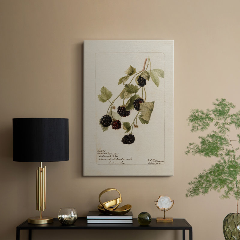 Imprimé floral rétro XLIV - galerie Cavas