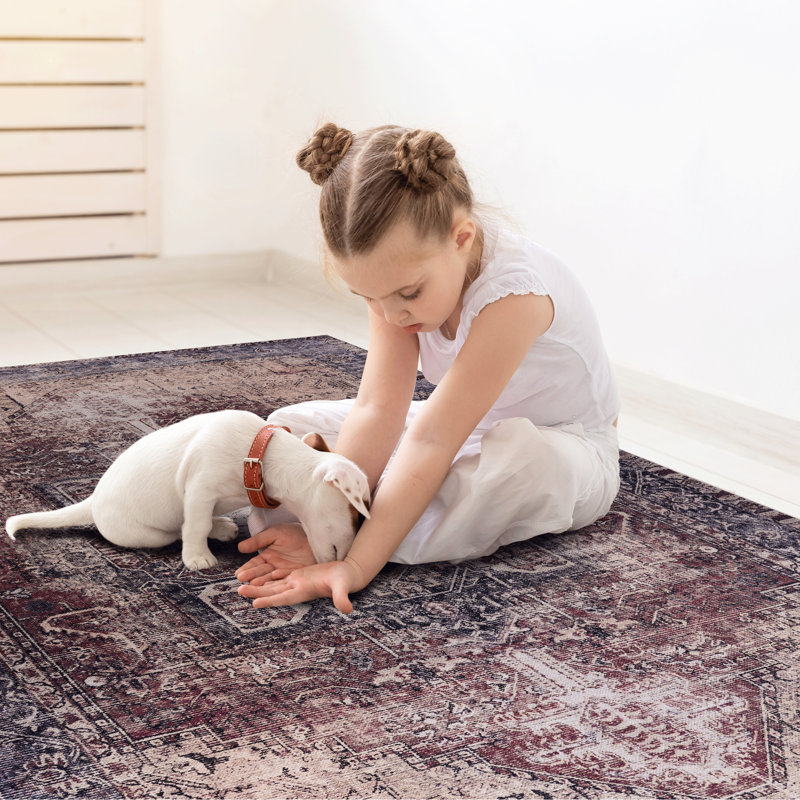 5X8 Living Room Area Rug - Washable, Non-Slip, Non-Shedding, Low-Pile, Foldable, & Pet , , Soft, Stain Furnishing  Burgundy Washable For Different Types Type
