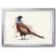 Pheasant Splash 5, reproduction d'art sur papier-2066183018-2066183019
