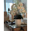 Matte Visage Vase With White Orchids