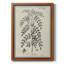 Toile encadrée botanique antique noire et blanche de qualité supérieure - prête à être accrochée-560974659