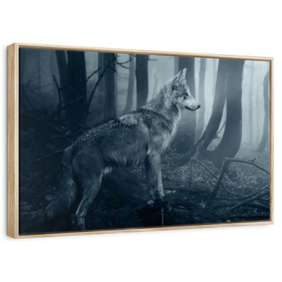 Grey Wolf