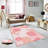 Antibacterial Woven Carpet (3D Digital Print) 4.0 x 5.9 Feet, 100% Polyester, Pile Height: 0.3 Inches | PVC Felt Dot Non-Slip Underside, Machine Washable, Perfect for Living Room & Bedroom Decor-1101393462
