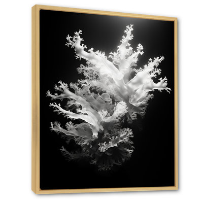 " Aqua Serenade Under Water Corail "