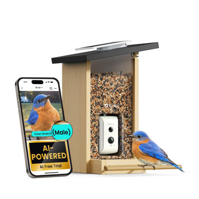 Mangeoire intelligente Birdfy avec caméra, caméra d'observation des oiseaux avec panneau solaire, identification par IA de plus de 6 000 espèces, bois écologique, cadeau idéal, ébène
