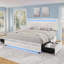 LED Bed Frame with 2 Storage Drawers and Adjustable Headboard, Diamond Button Tufted Bedframe-993219745-993219774