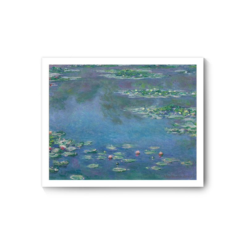 Water lily