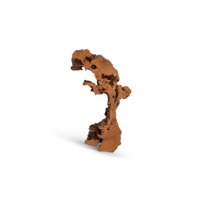 Décoration murale Cast Naturals Root Burled