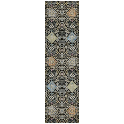 Machine Washable Indoor/Outdoor Chantille ACN2440 Traditional Rug