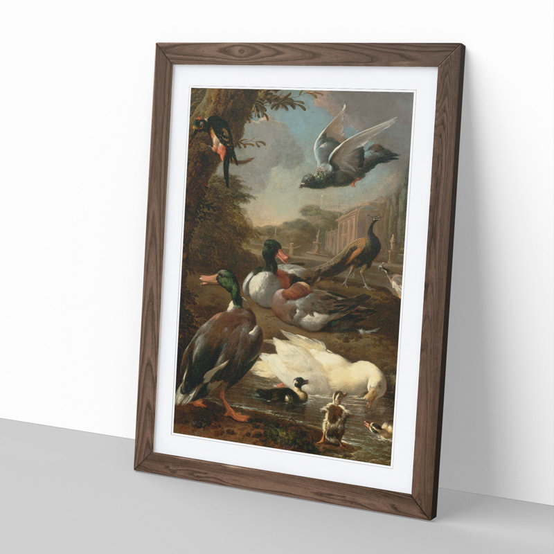 Collection of Birds Vol.2 by Melchior D'Hondecoeter - Picture Frame Painting, Walnut Framed, 48cm H x 36cm W x 2cm D