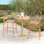 Tabouret d'extérieur (ensemble de 2)-282040721-282040723
