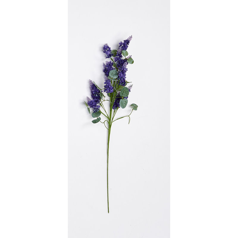 Lilas, Mauve