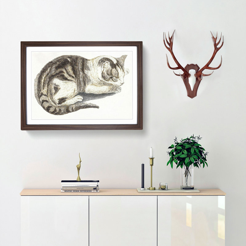 Cat by Johan Teyler - Framed Print, 36cm H x 48cm W x 2cm D, Walnut Framed