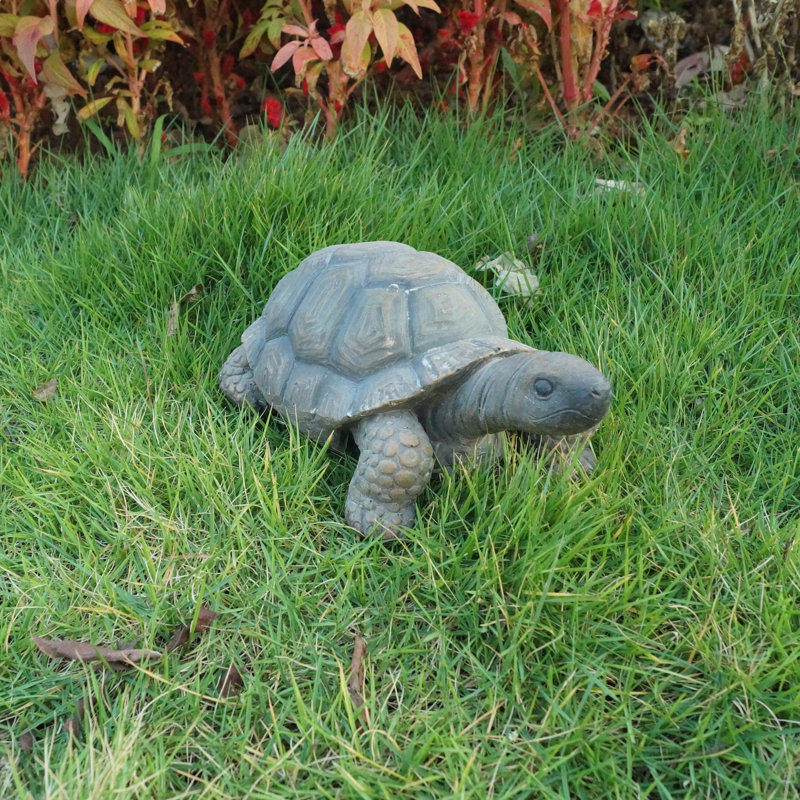 Statue turtle
