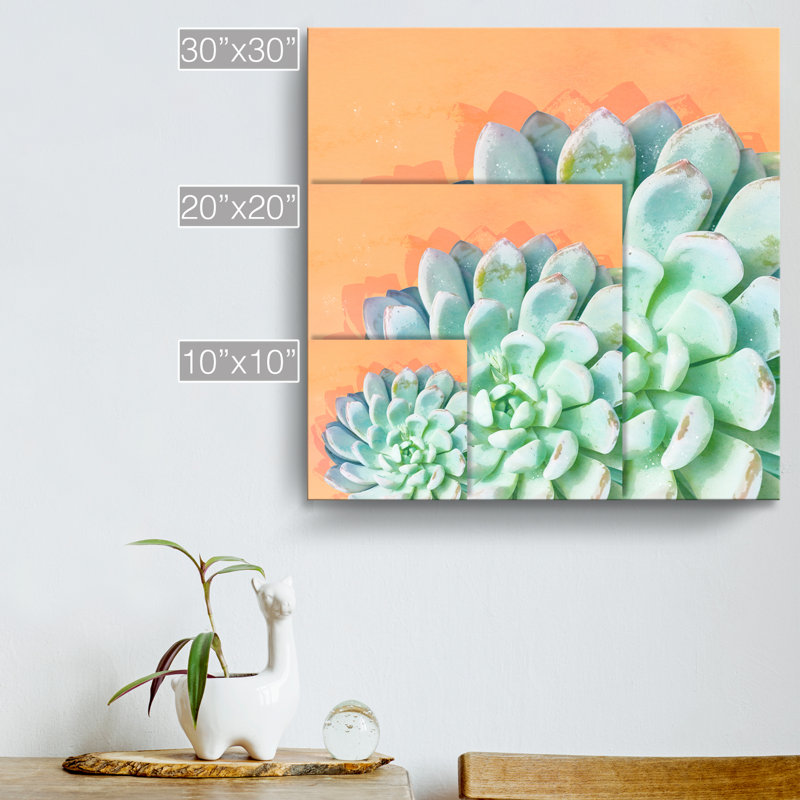 « réveil iv », impression sur toile succulent, H 10 po x l 10 po x P 1,5 po, Toile tendue