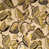 Pumice