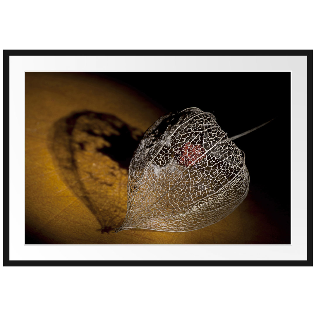 Gerahmtes Poster Schatten einer Physalis