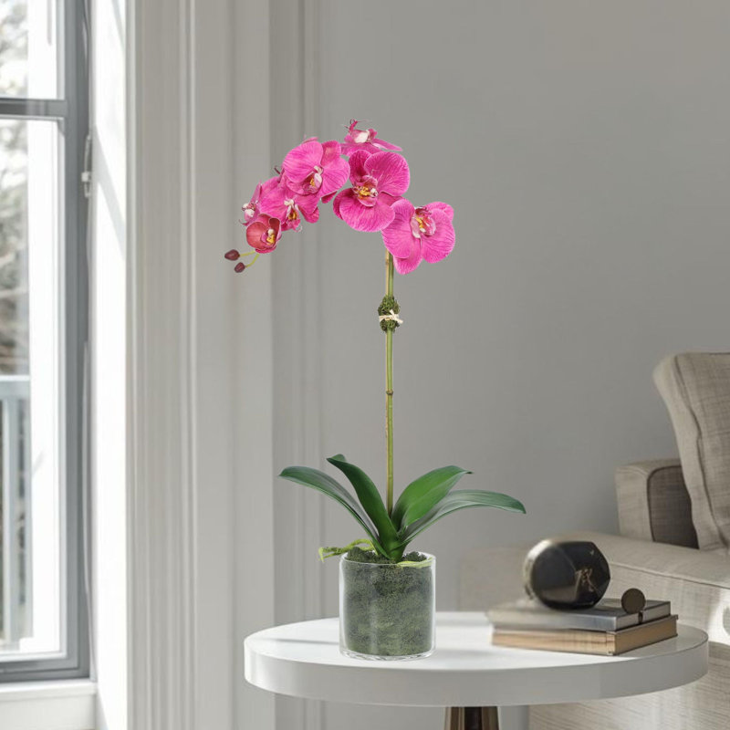Arrangement d'orchidées dans un vase, Rose