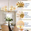 6 - Light Chandelier