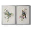«Spring Song Blue Bird», ensemble de 2 reproductions sur toiles encadrées-61455519-61455527