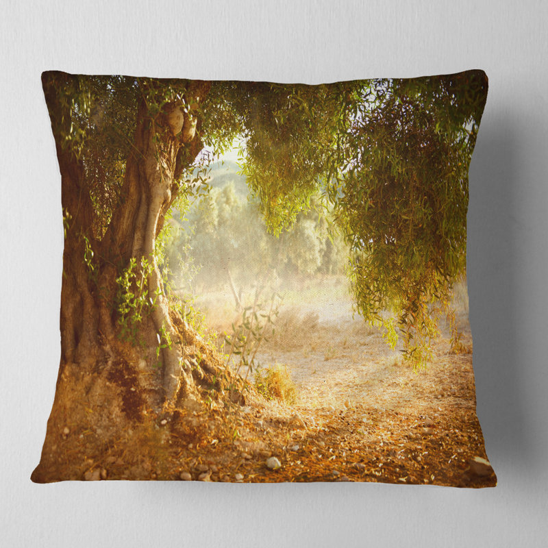 Magnifique coussin vieil olivier, 16 po x 16 po, Coussin décoratif