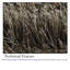 Breah Solid Colour Area Rug-1601290892