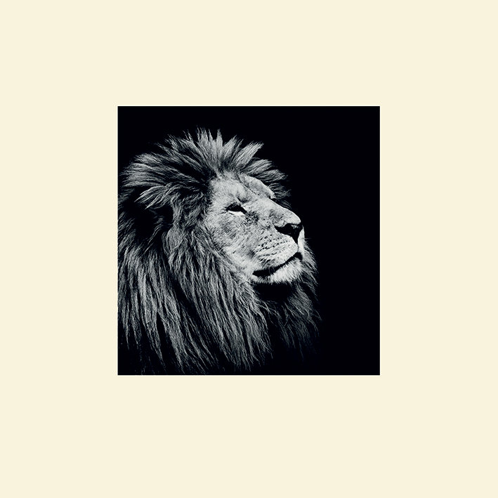 Majesty by Nicolas Evariste - No Frame Print, 60cm H x 60cm W, No Mount