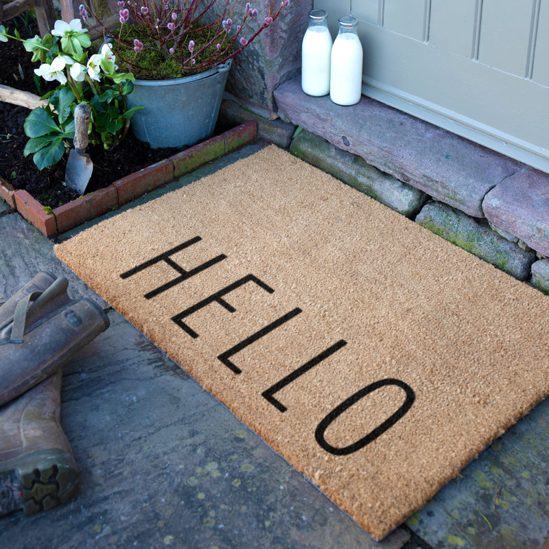 Non-Slip Indoor Doormat