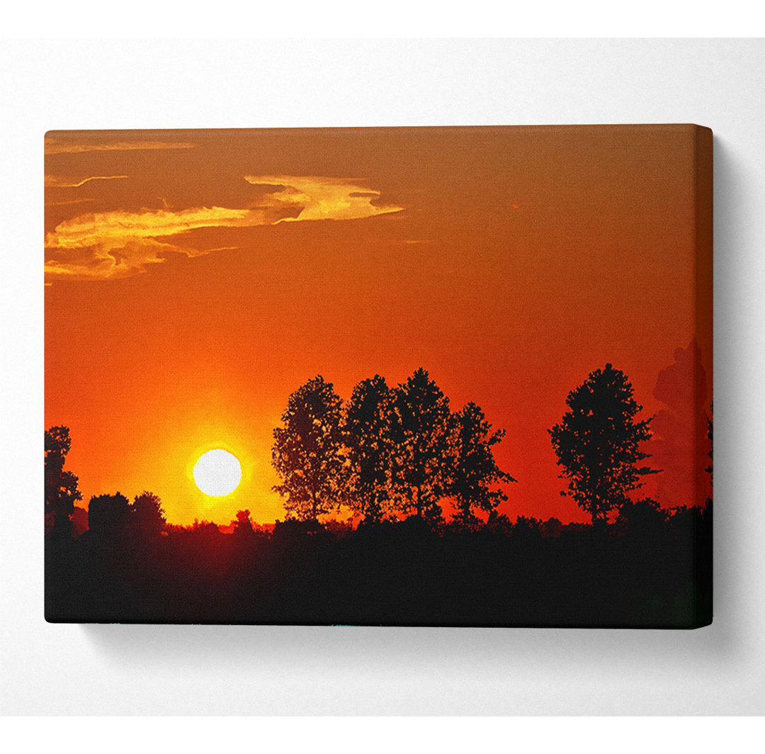 Orange Tree Horizon - Kunstdrucke auf Leinwand - Wrapped Canvas