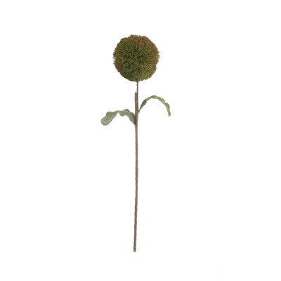 BOTANICA # 3620