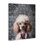  Art mural sur toile Glam Poodle on Florals par Svetlana Aleynikova
