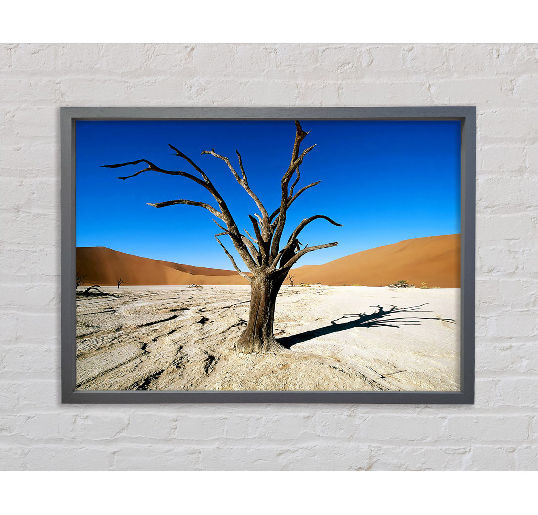 Desert Tree Branches - Single Picture Frame Kunstdrucke auf Leinwand