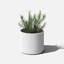 Petit pot à fleurs Veradek Mod Series-126194089-126194090-126194092