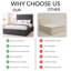 Upholstered Bed-386997714-386997713
