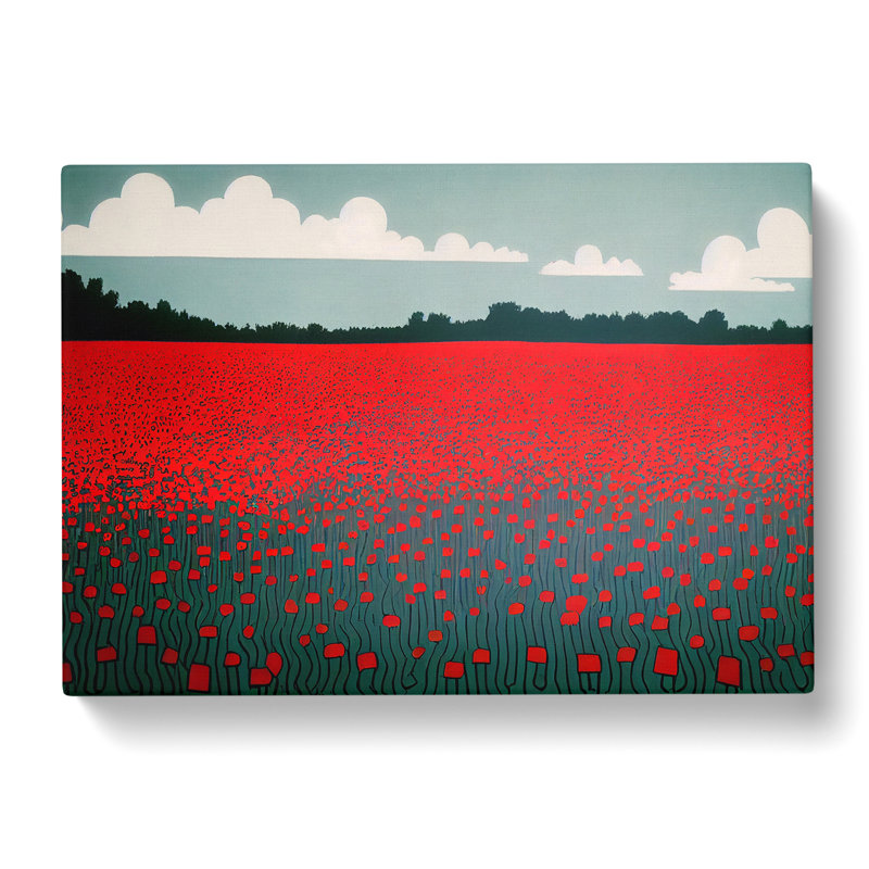 Sublime Poppy Field Flowers - Wrapped Canvas, 35cm H x 50cm W x 3cm D