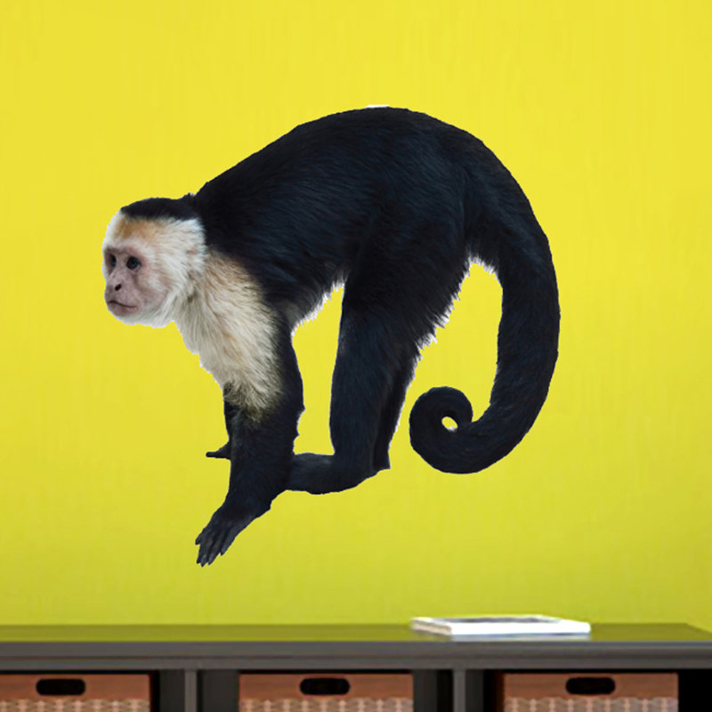 Décalcomanie murale singe really life, H 24 po x l 24 po