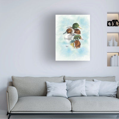 Dave Bartholet Puddle Duck Trio Canvas Art