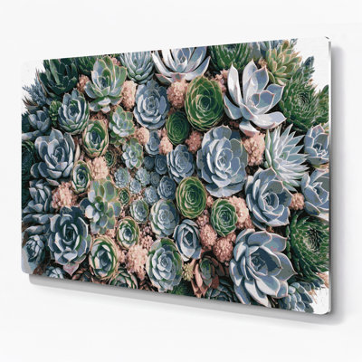 Art mural en métal Botanical Succulents