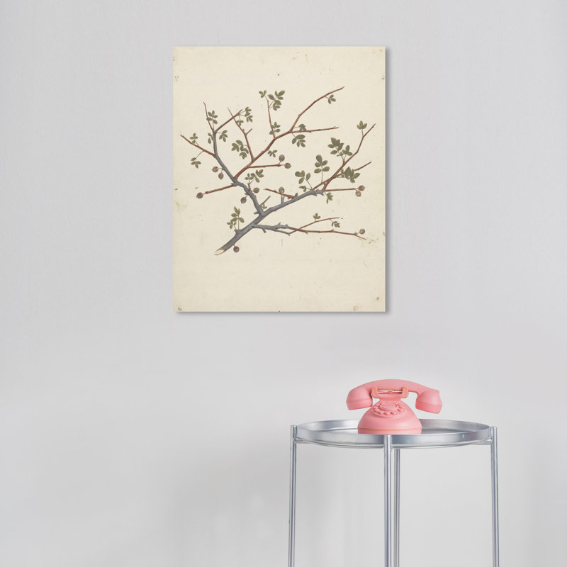 Jahlil baume de Galaad sur toile, H 20 po x l 16 po x P 0,8 po