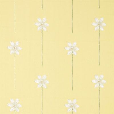 Thalia Fabric