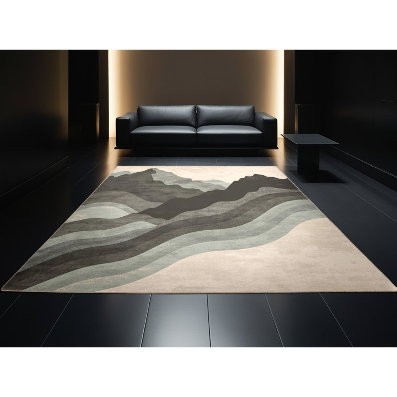 Tapis moelleux moelleux en peluche rustique à motif d'arc rustique Rodolfo, 7 x 9