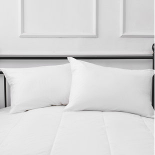  100% Cotton Zipper Pillow Protector (Set of 2)