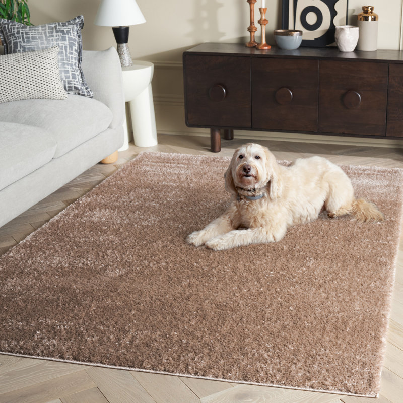 Tapis à poils longs Lachara Penelope Performance, Rectangle 5 pi 3 po x 7 pi 6 po