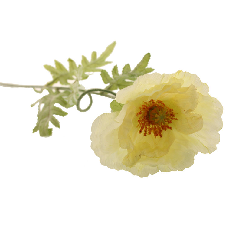 Faux Silk Poppy Arrangement, Cream