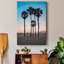«Santa Monica Palm», reproduction de photo sur toile tendue-1235741815