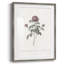 Imprimé floral rétro CXLVI - impression encadrée-492714262