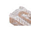 Nautilus Resin Decorative Box